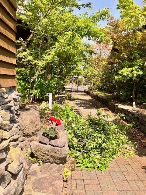 雑木林と8つの家